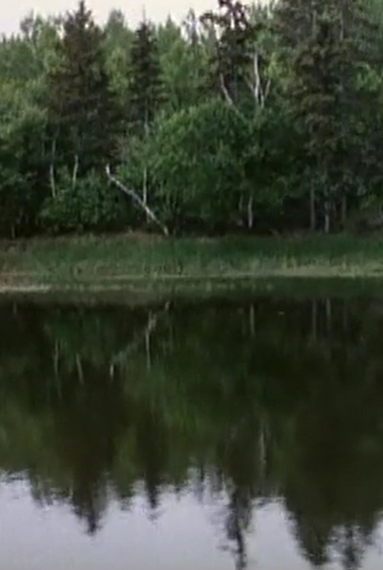 La voix des rivières filmaffisch