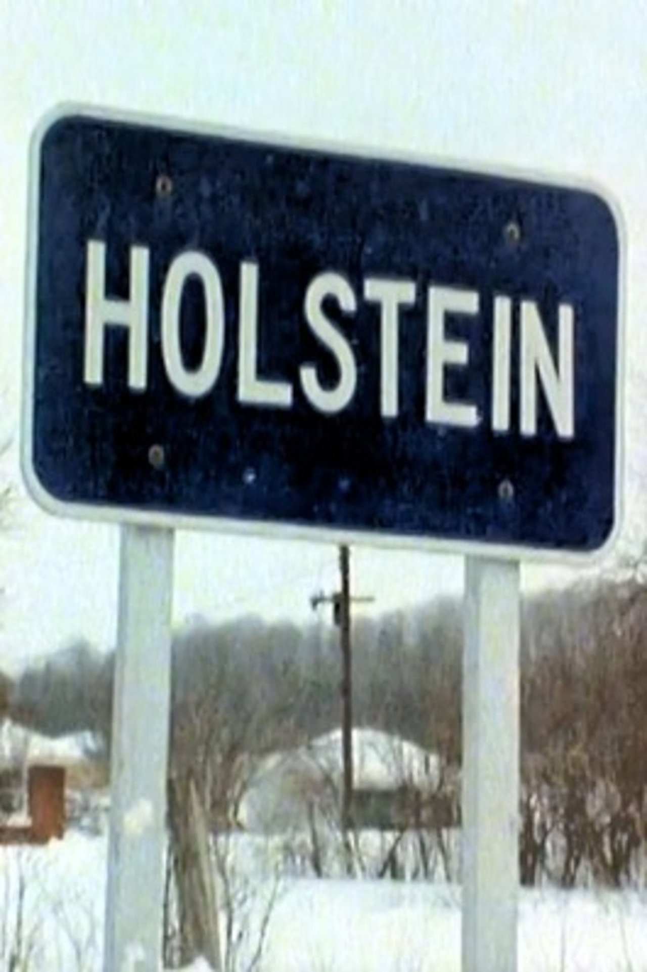 Holstein Holstein
