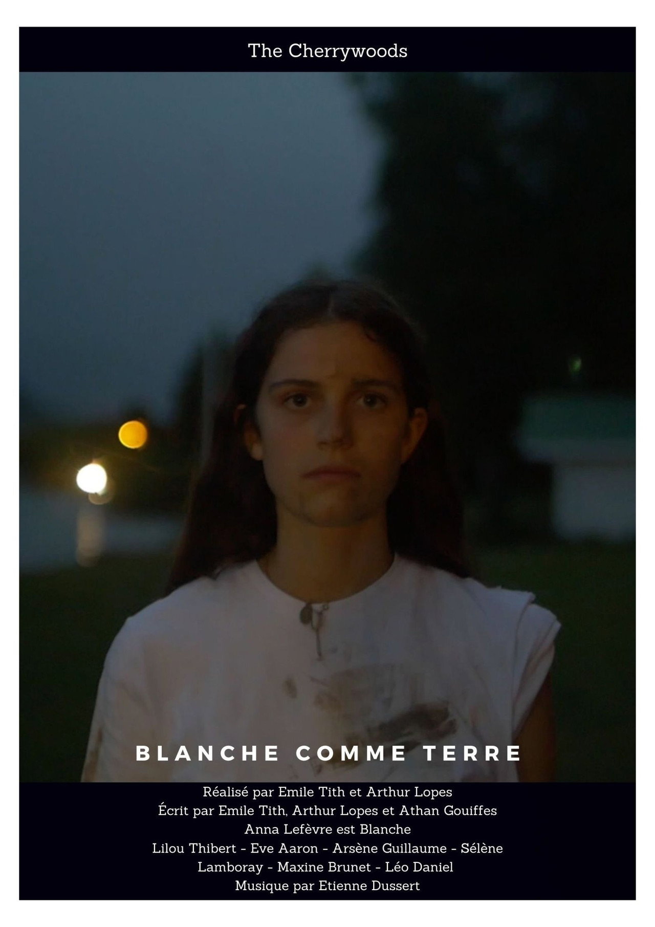 Blanche comme terre filmaffisch