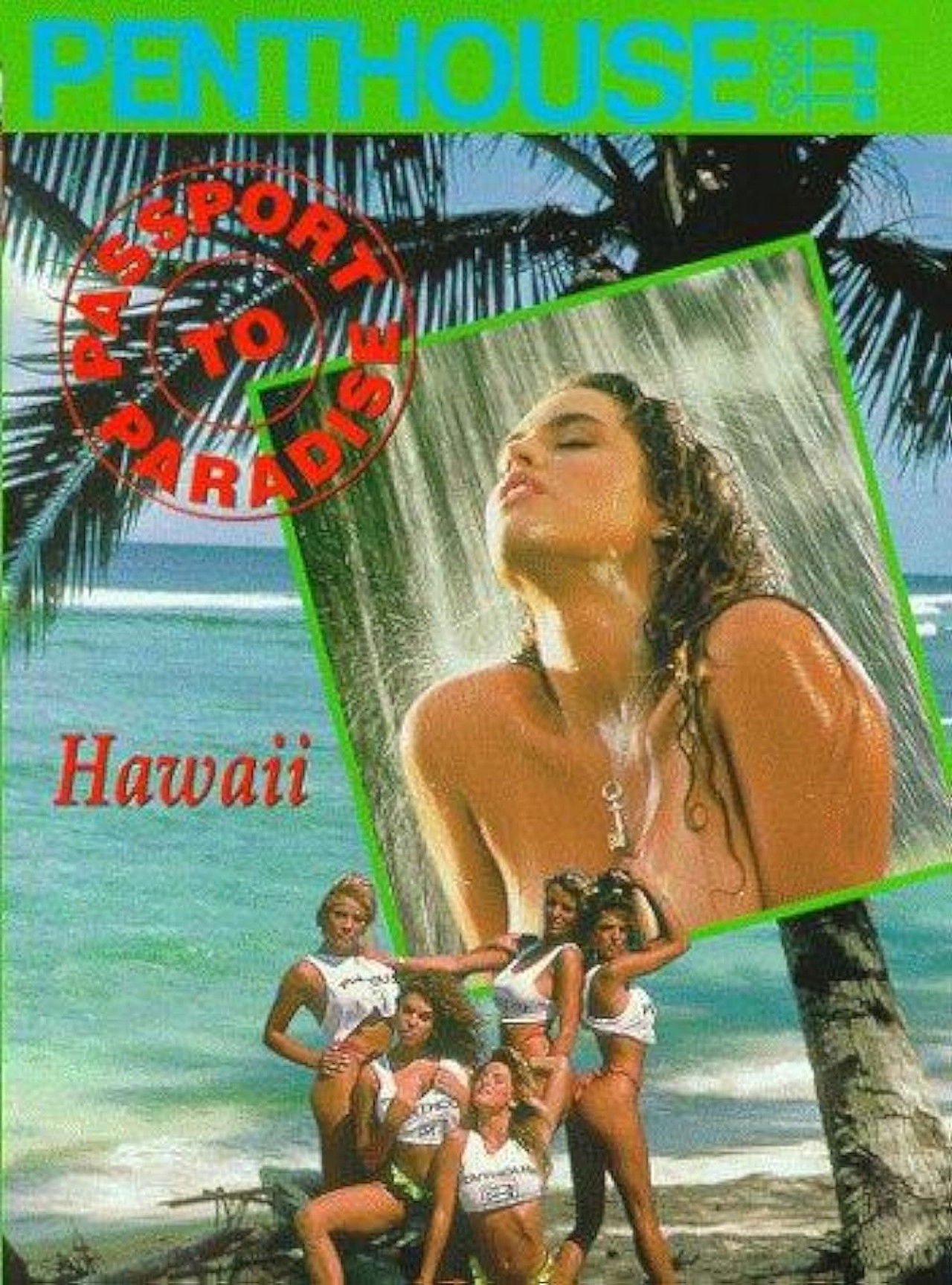 Passport to Paradise: Hawaii Backdrop