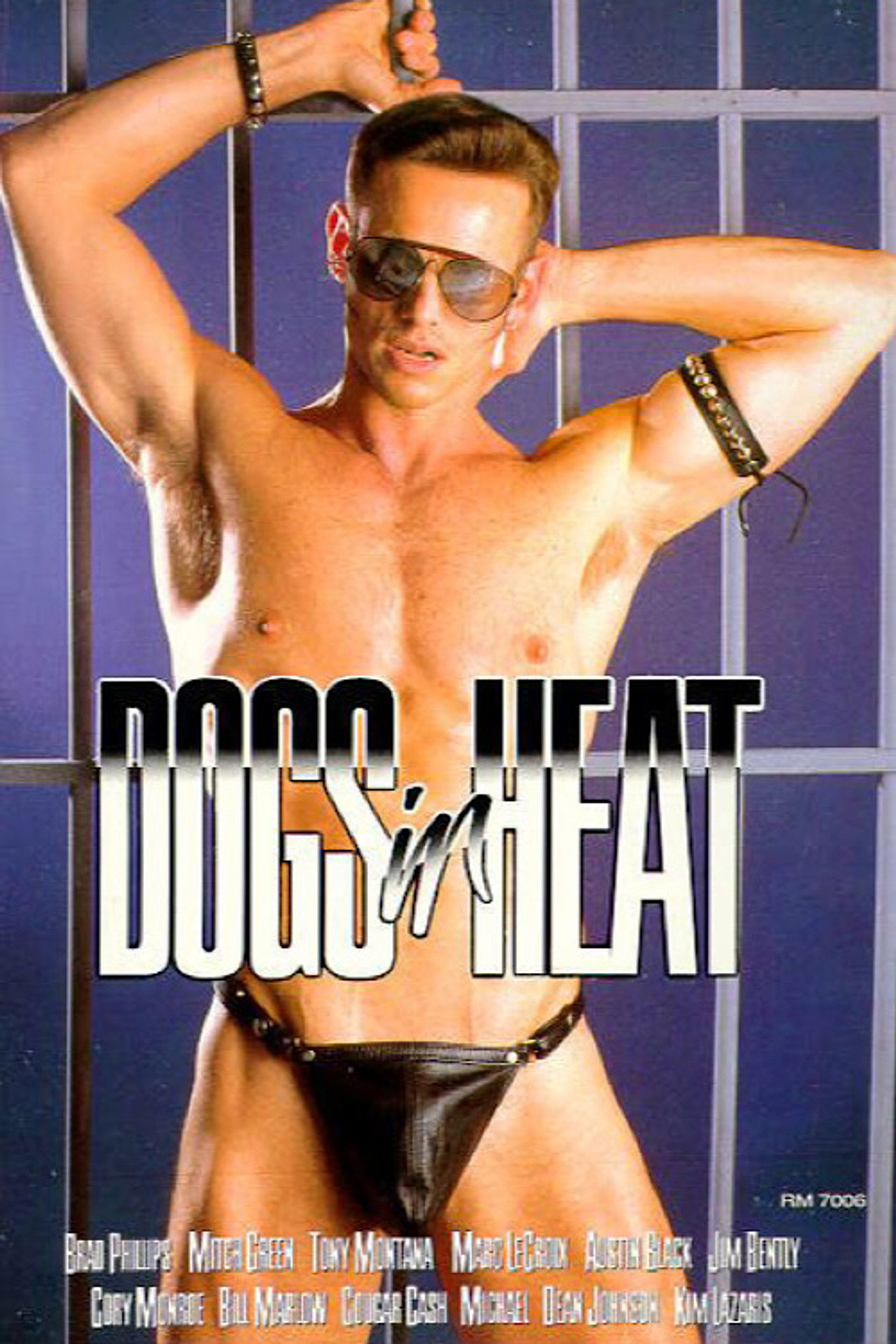 Dogs in Heat filmaffisch