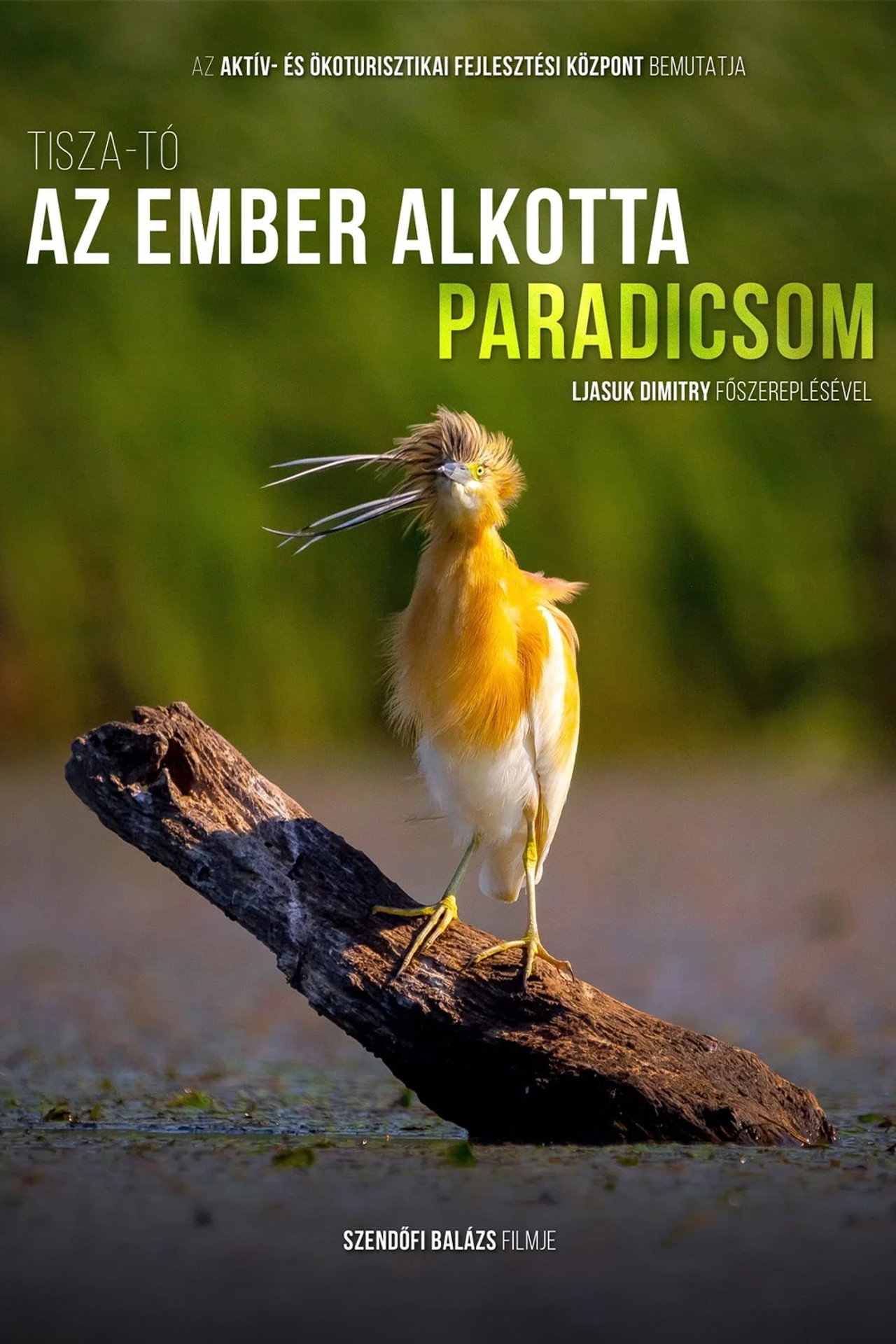 Tisza-tó - Az ember alkotta paradicsom – plakát 5