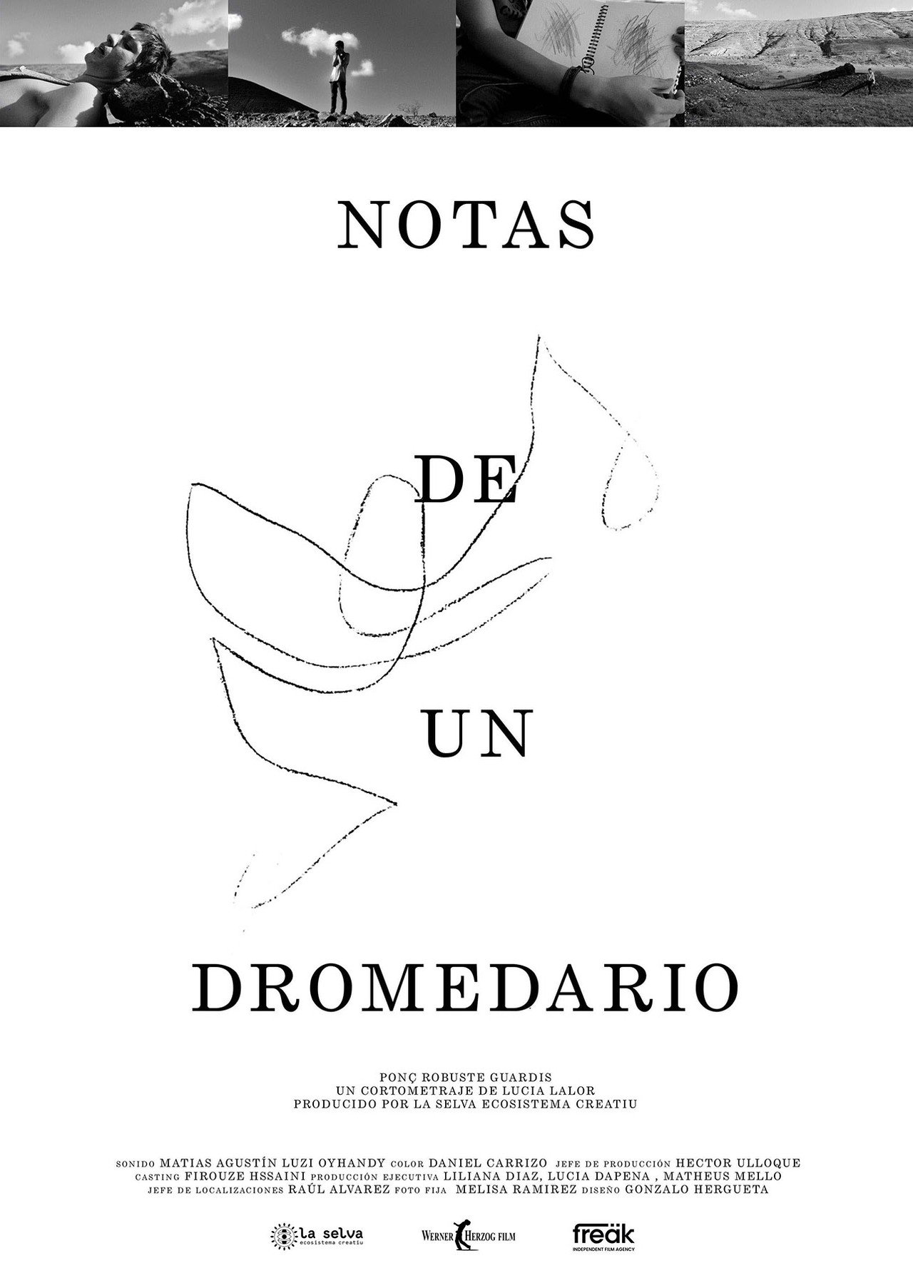 Notas de un Dromedario filmaffisch