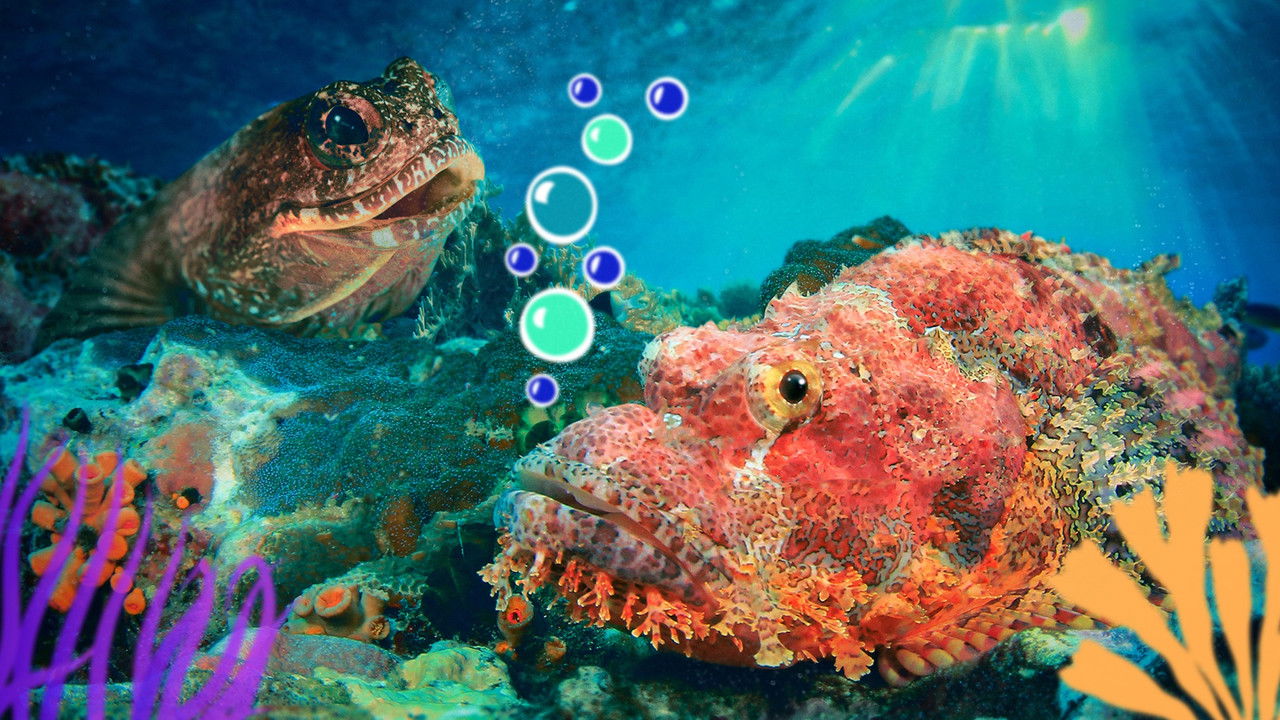 Reef School — Épisode 6