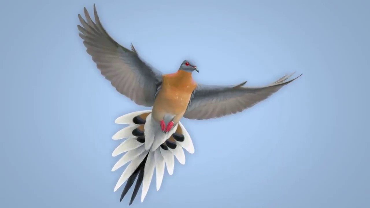 From Billions to None: The Passenger Pigeon's Flight to Extinction