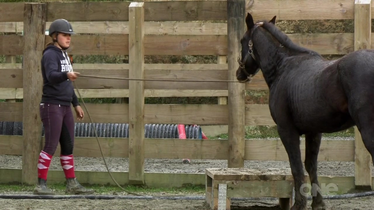 Keeping Up With The Kaimanawas — Épisode 5