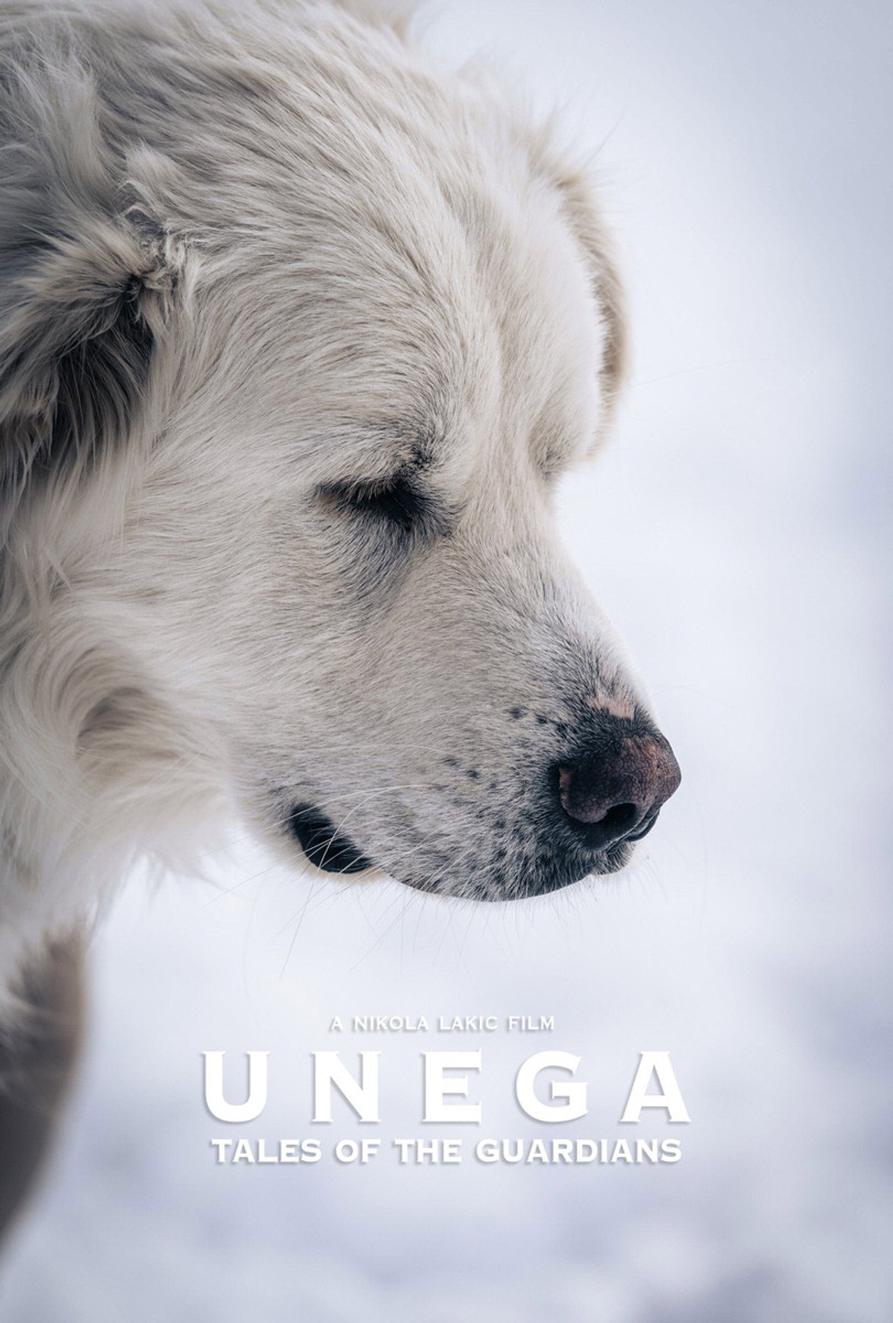 Unega | Tales Of The Guardians filmaffisch