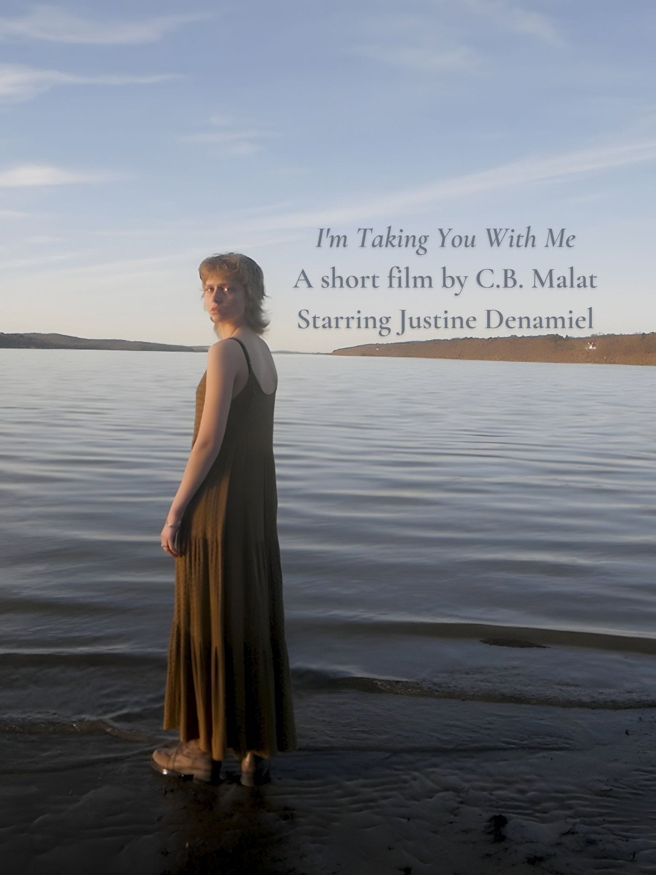I'm Taking You With Me filmaffisch