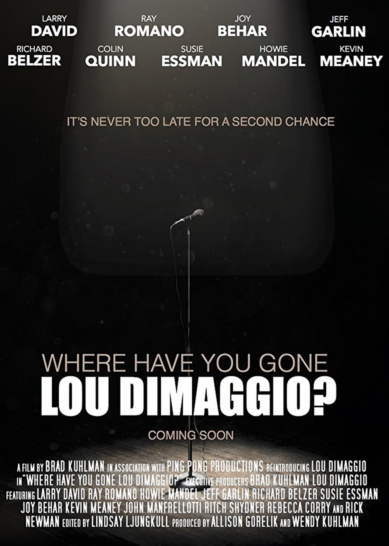 Where Have You Gone, Lou DiMaggio? poster