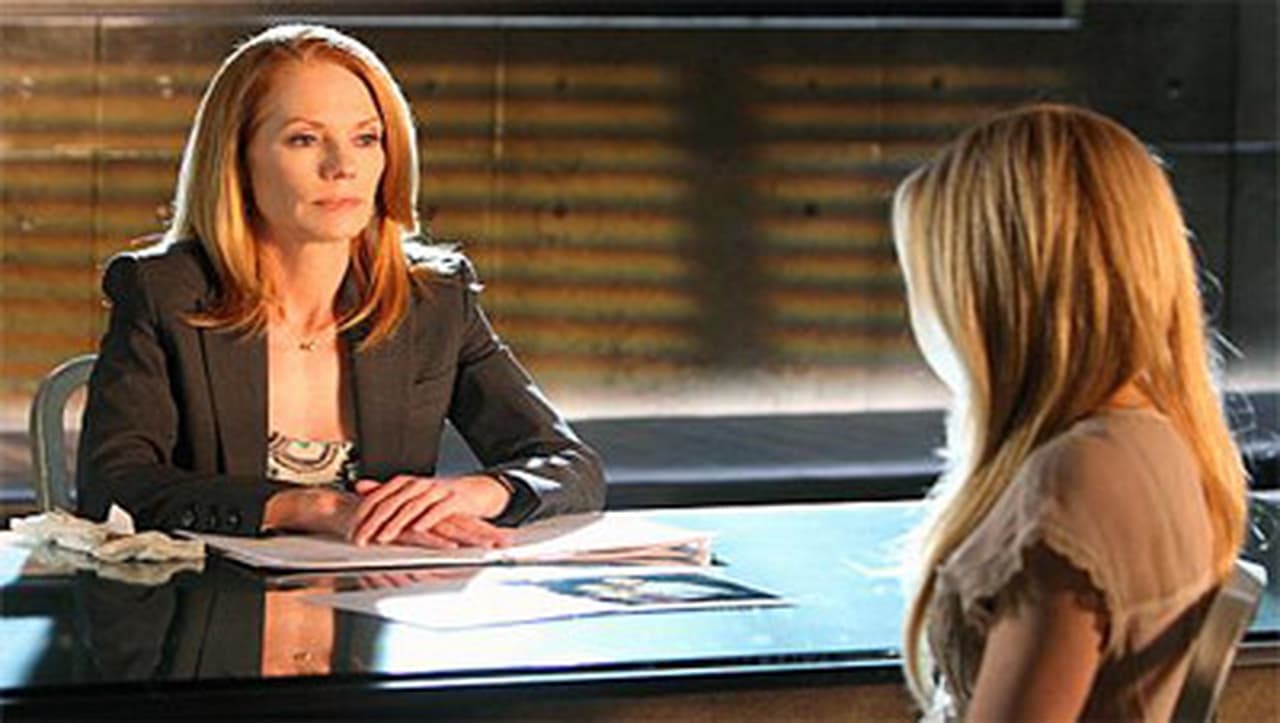 CSI: Crime Scene Investigation - Season 10 Episode 21 : Lost & Found