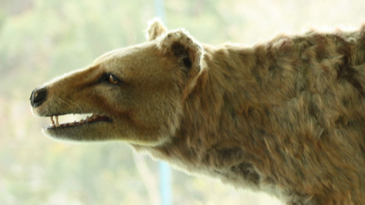 Stranger Than Nature — Épisode 9