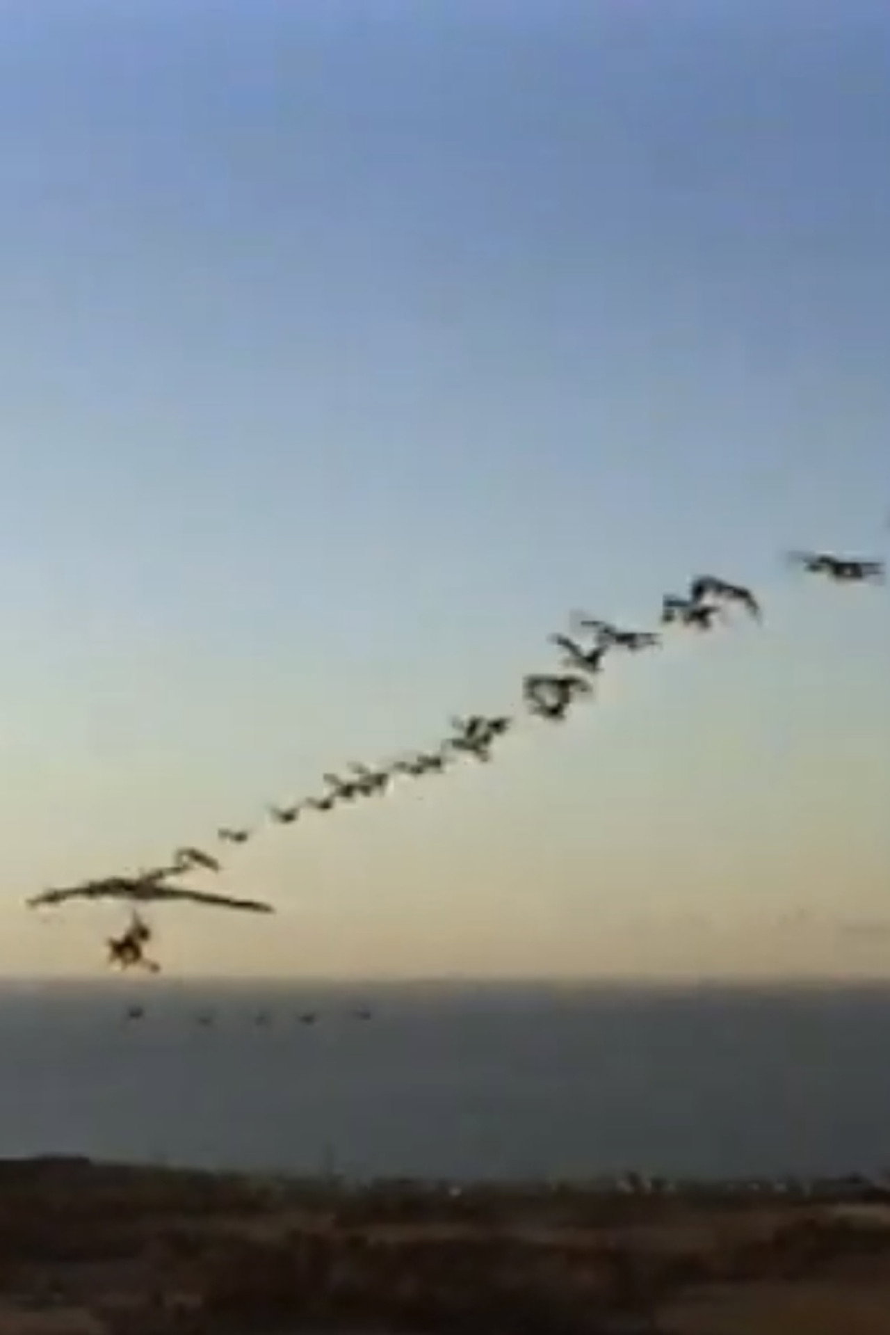 The Ultra Geese filmaffisch