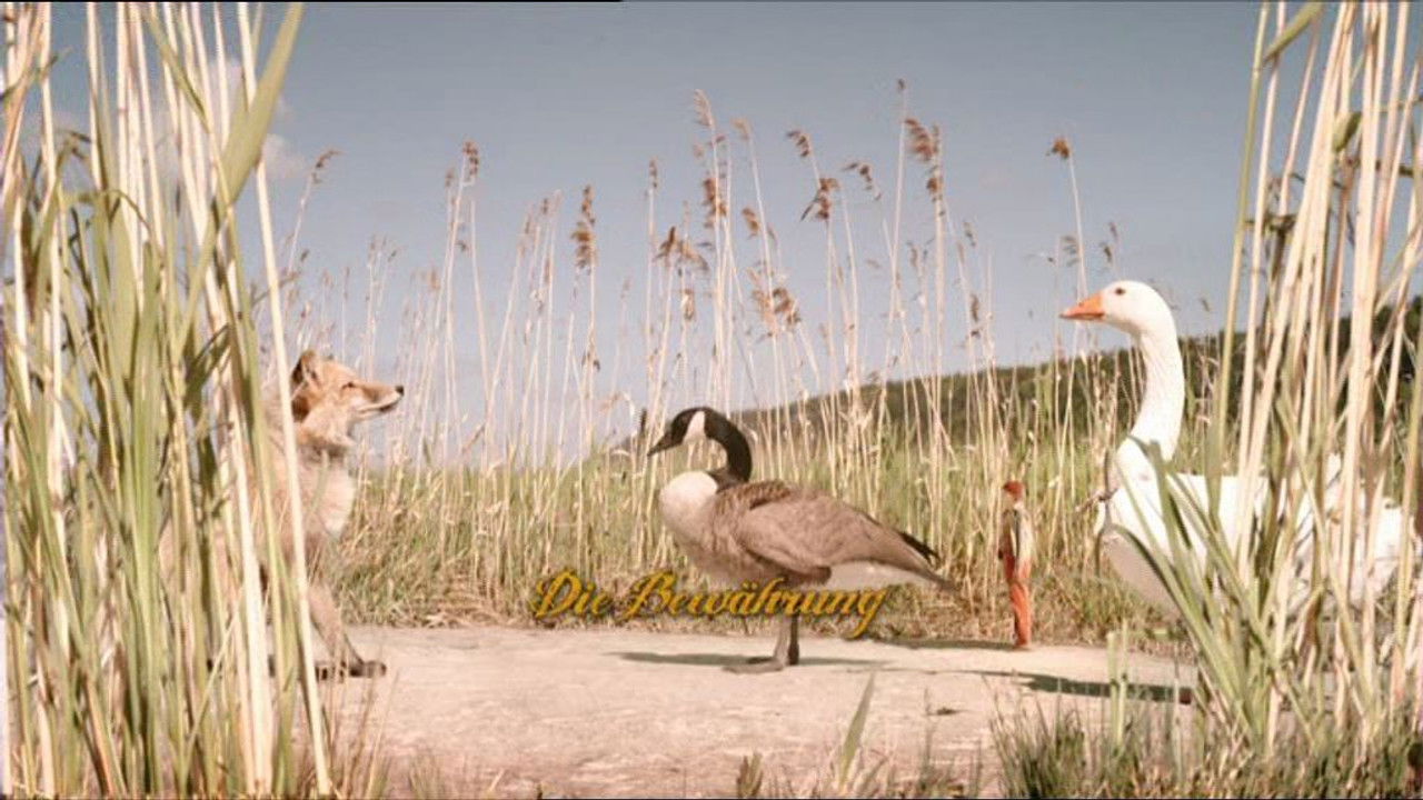 Le Merveilleux Voyage de Nils Holgersson au pays des oies sauvages — Épisode 2