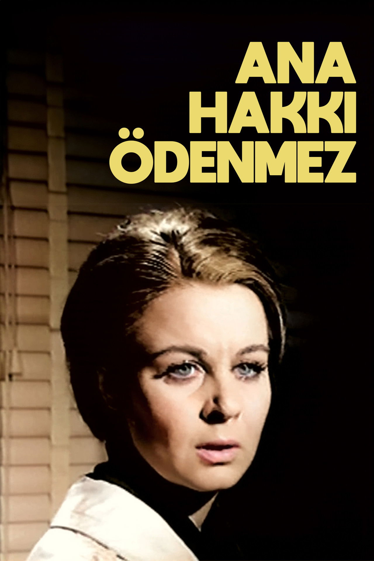 Ana Hakkı Ödenmez Backdrop