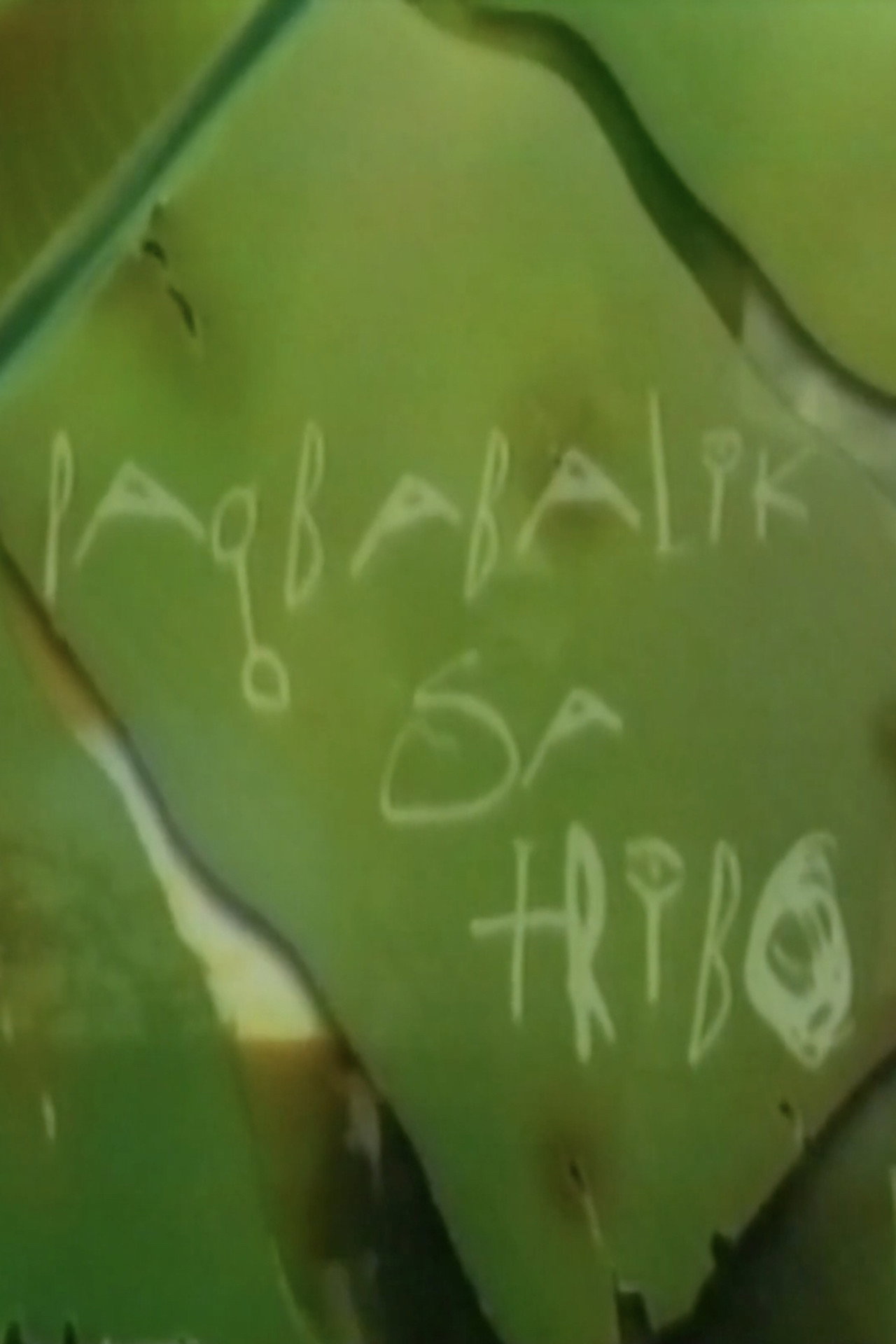 Pagbabalik sa Tribo filmaffisch