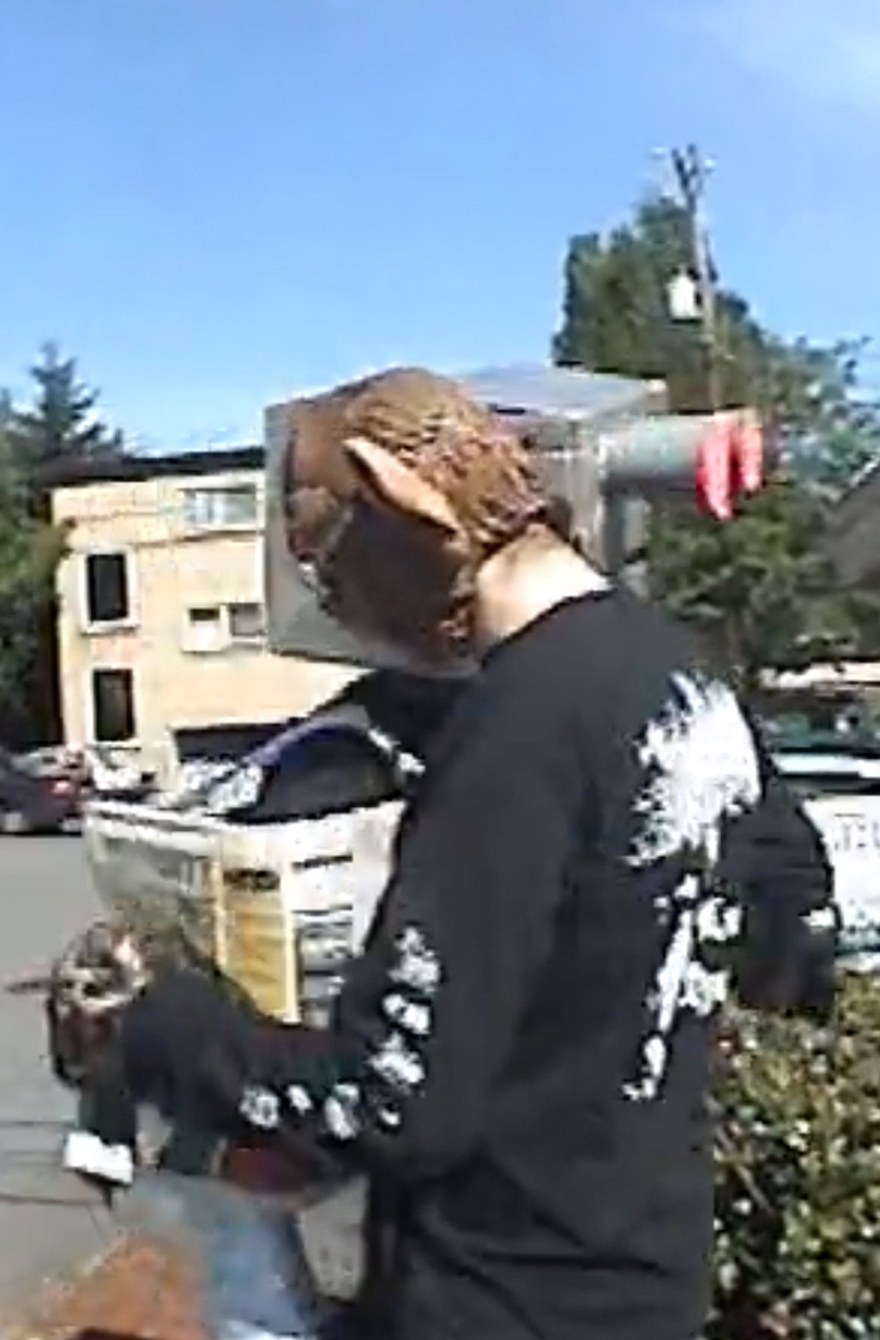 Robot vs. Wolfman filmaffisch