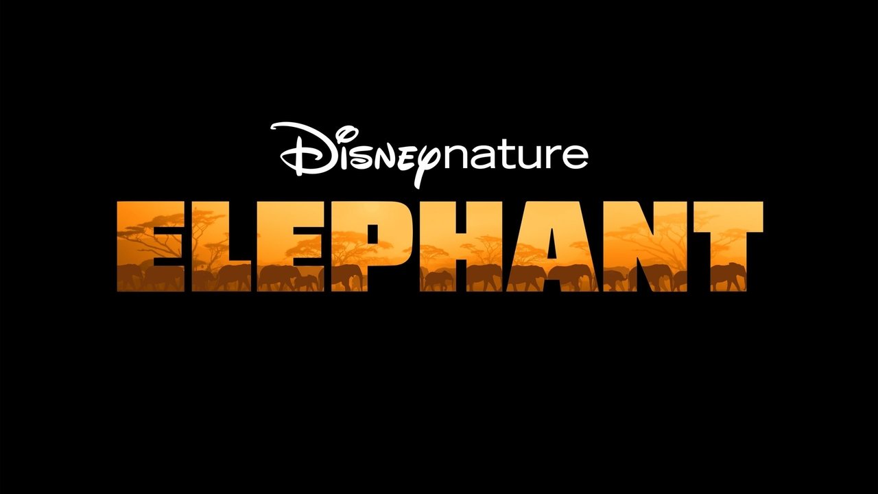 title image