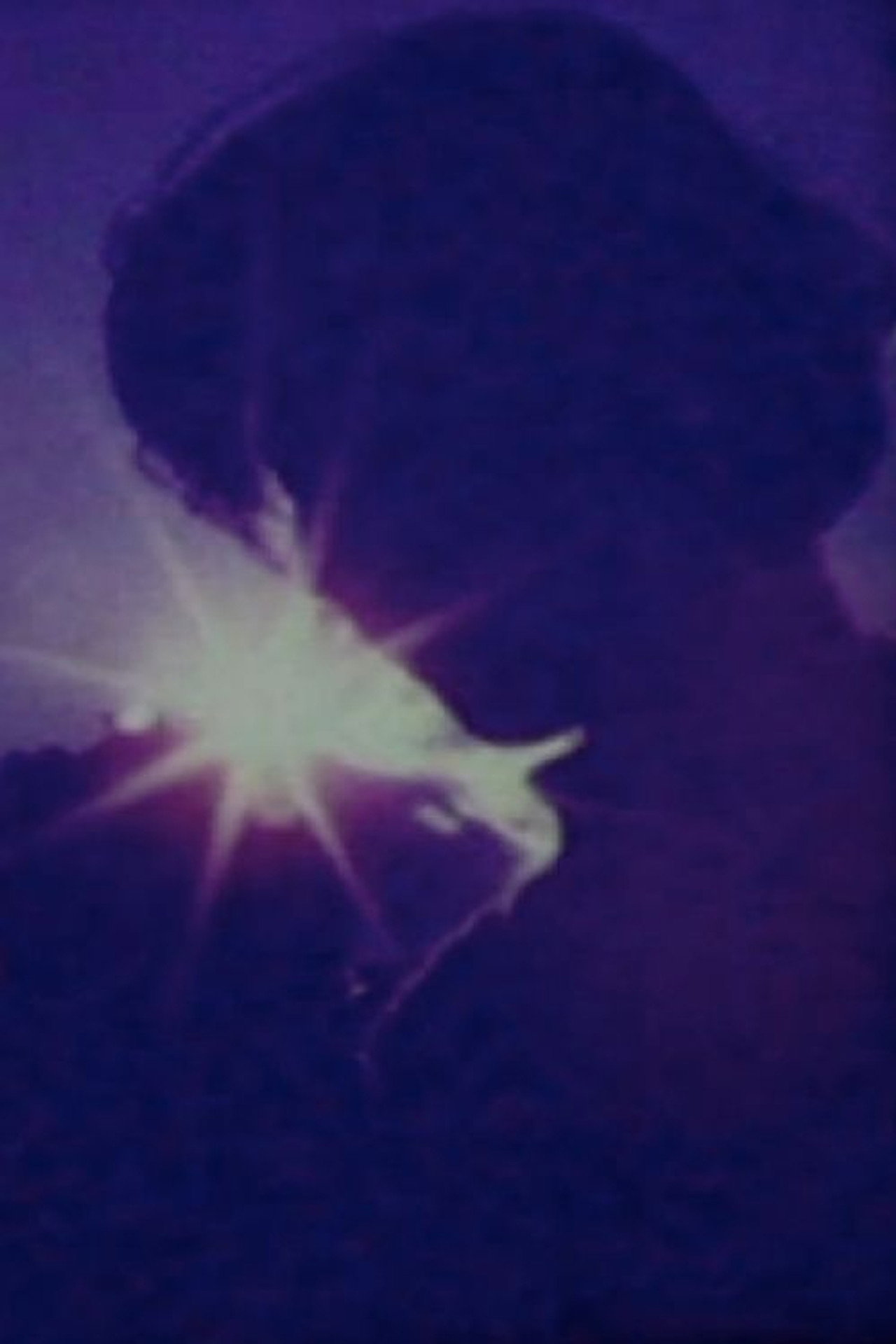 ひととしっく filmaffisch