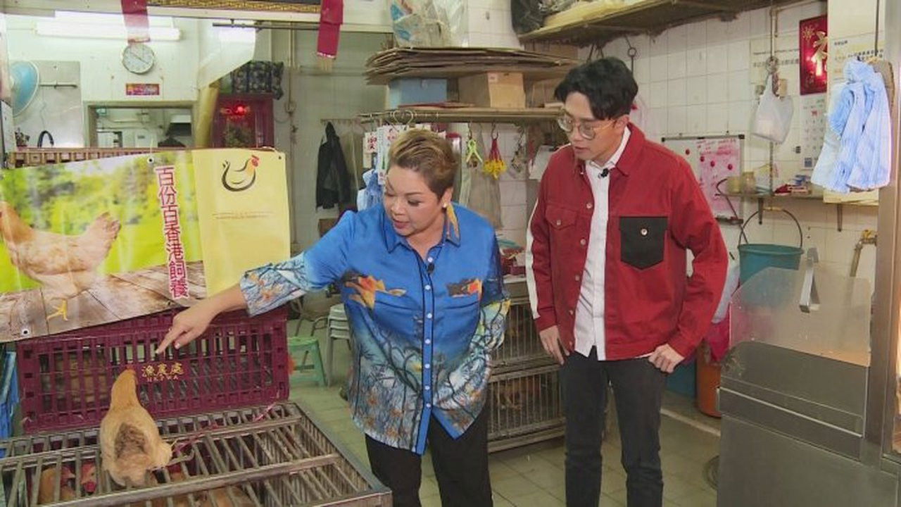 食平D — Épisode 4