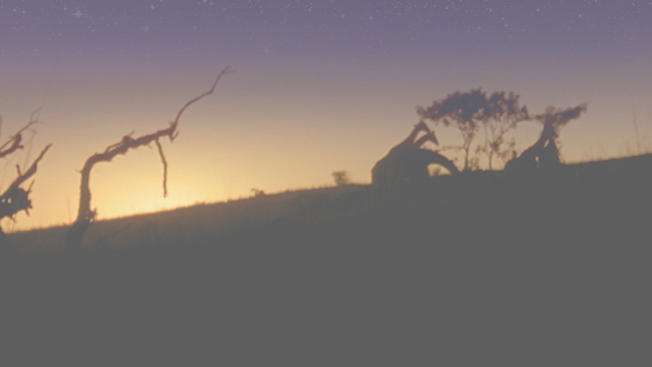 Africa backdrop