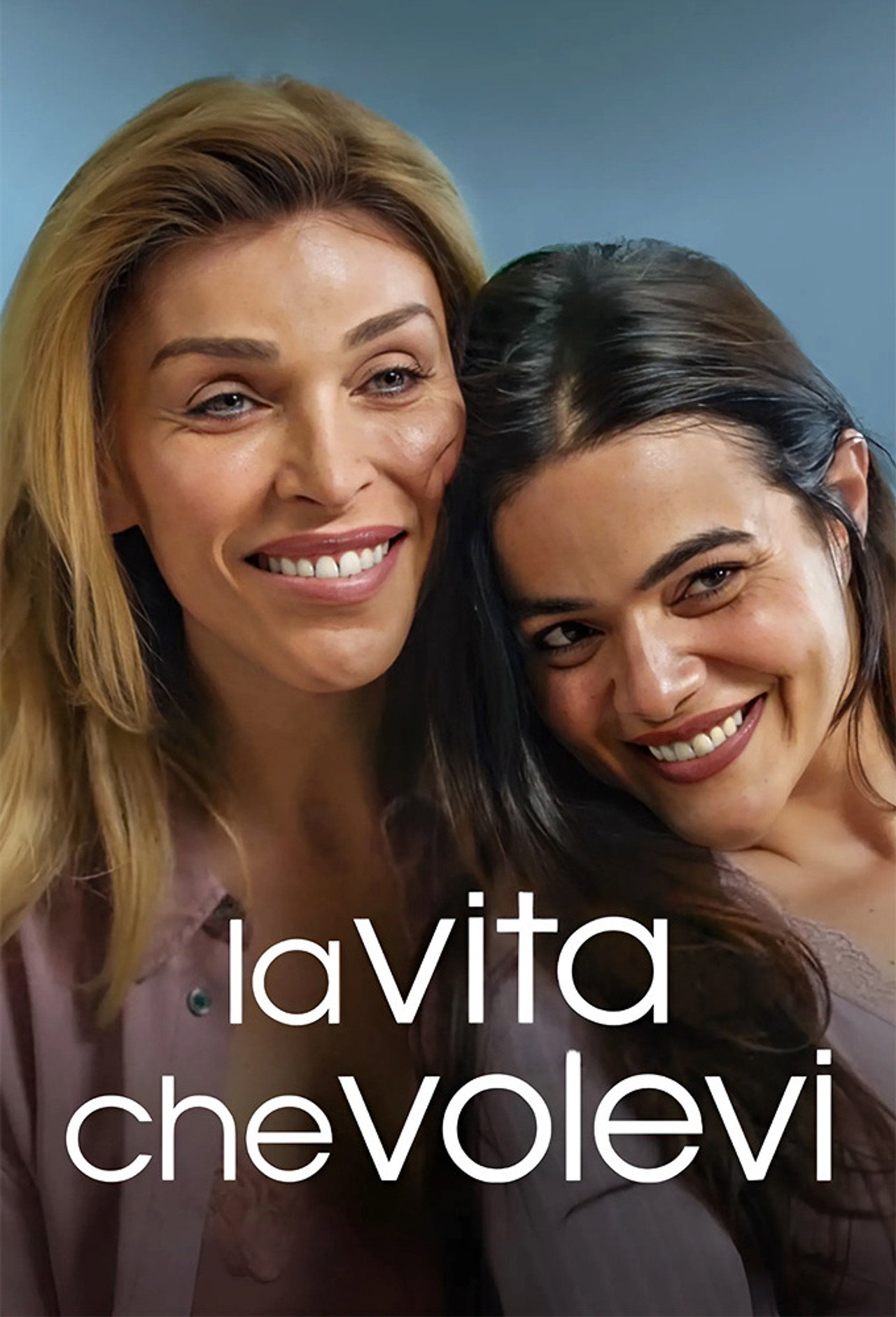 Det liv du ville ha affisch