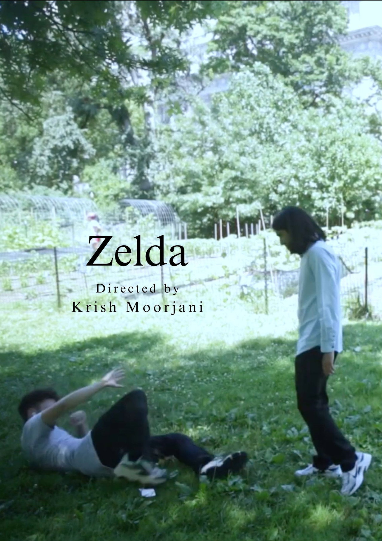Zelda filmaffisch