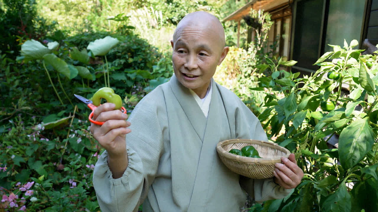 NHK Documentary — Épisode 3