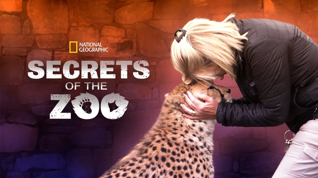 Secrets of the Zoo background