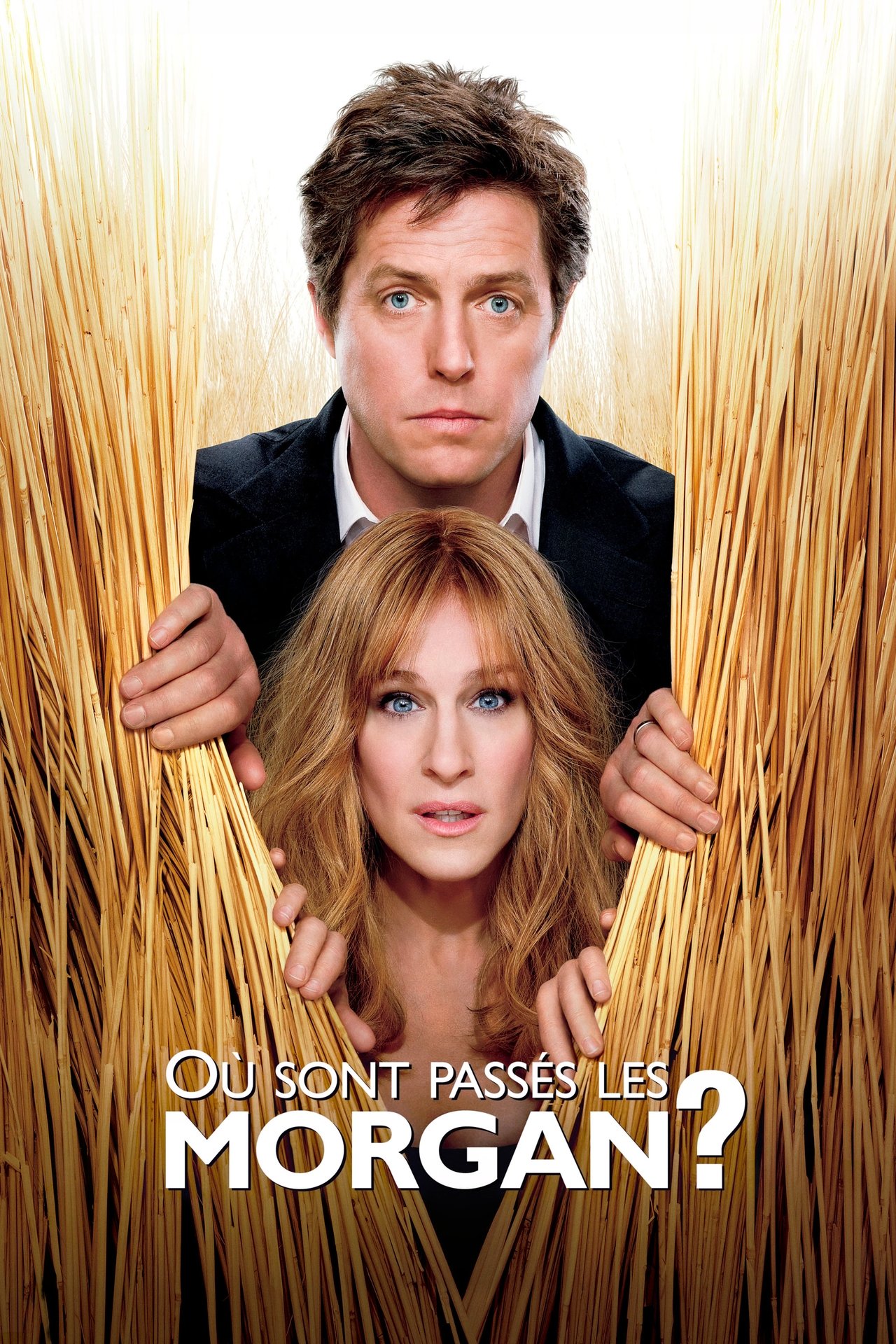 Où sont passés les Morgan ? poster