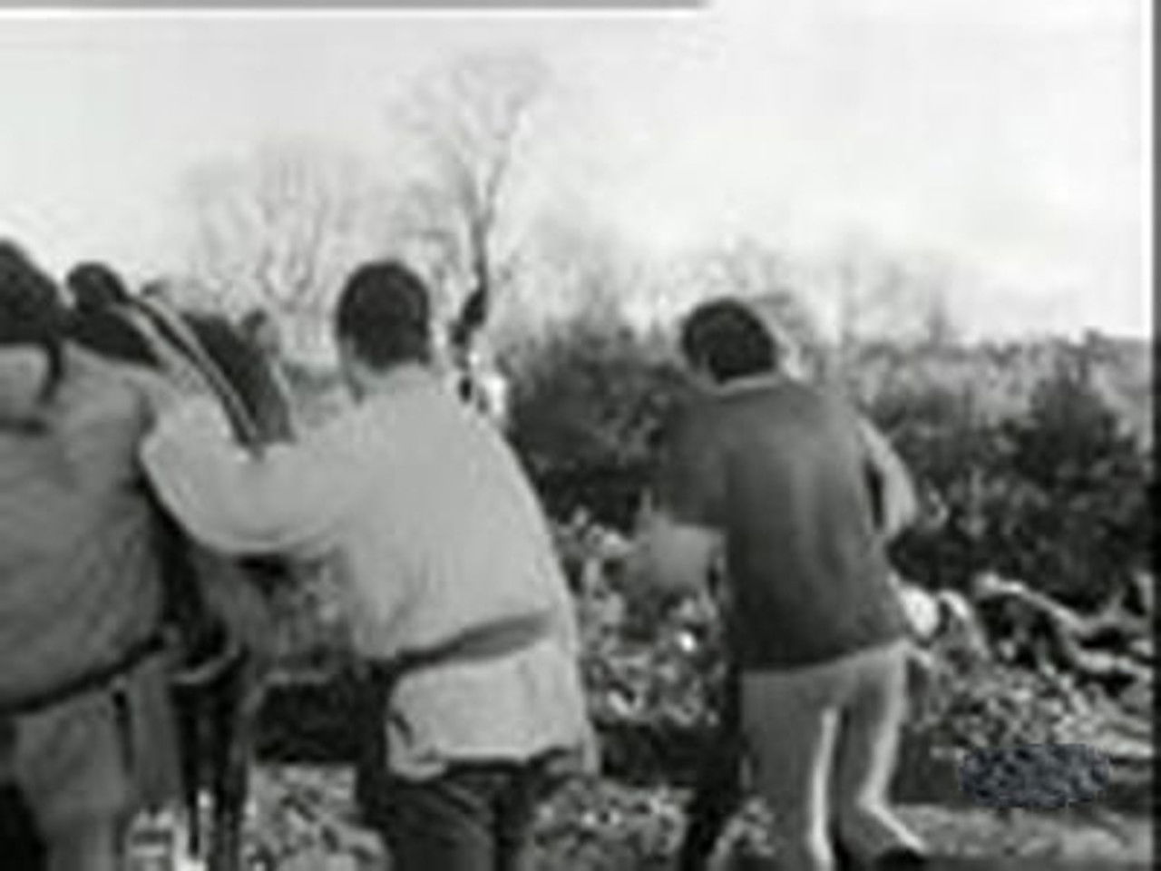 Thierry la Fronde — Pierre précieuse et perle fine