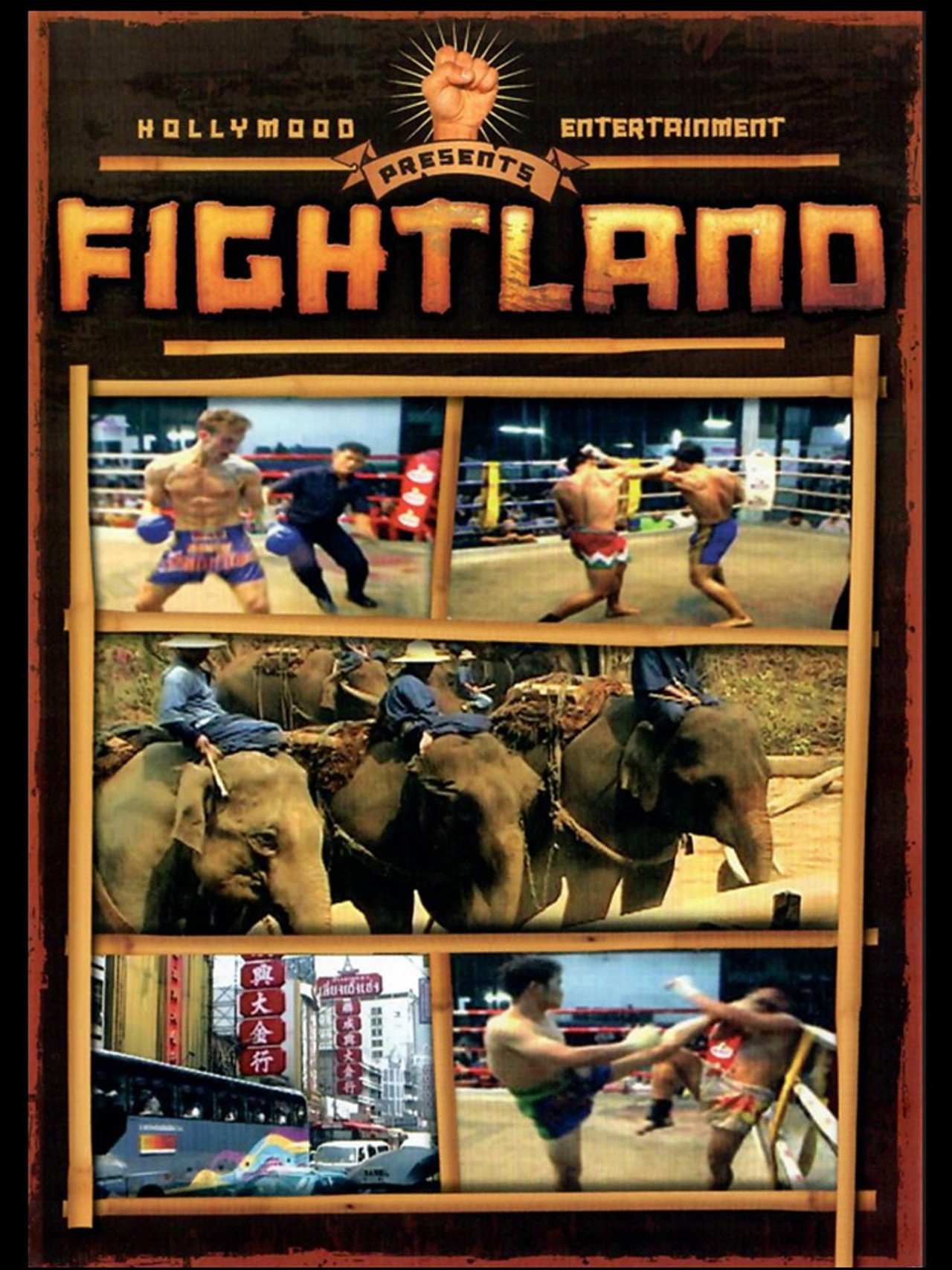 Fightland Backdrop