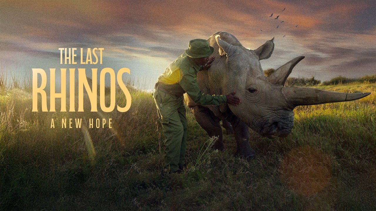 The Last Rhinos: A New Hope
