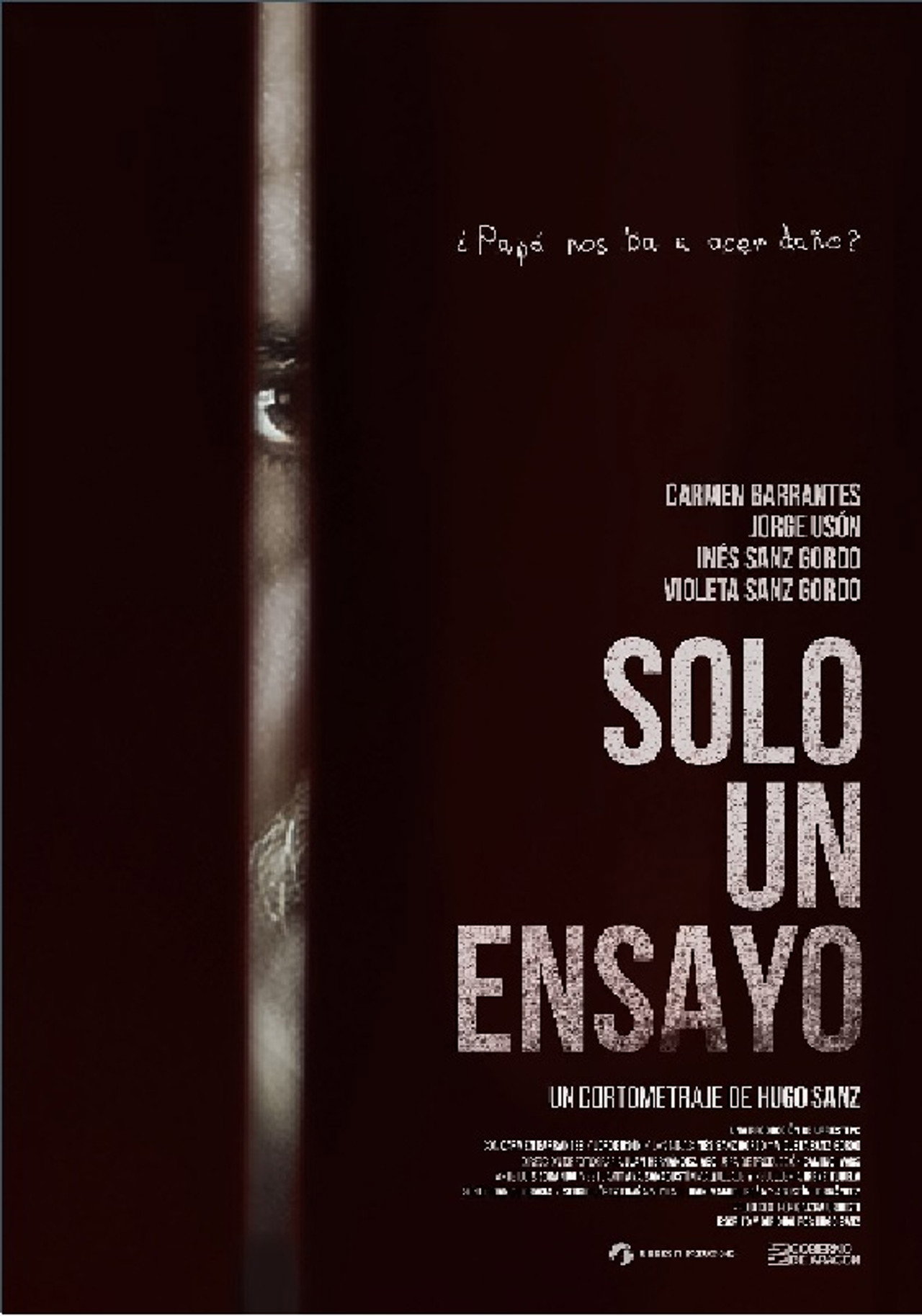 Solo un Ensayo filmaffisch