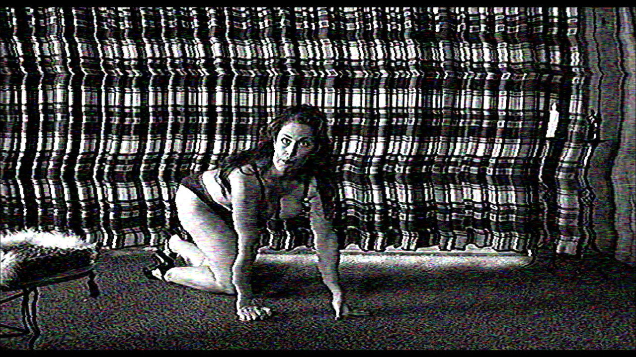 The Poughkeepsie Tapes backdrop