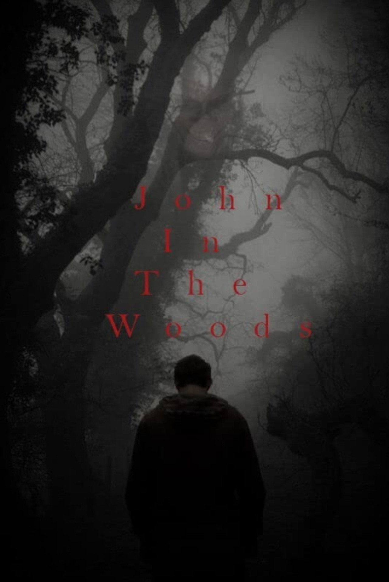 John in the Woods filmaffisch
