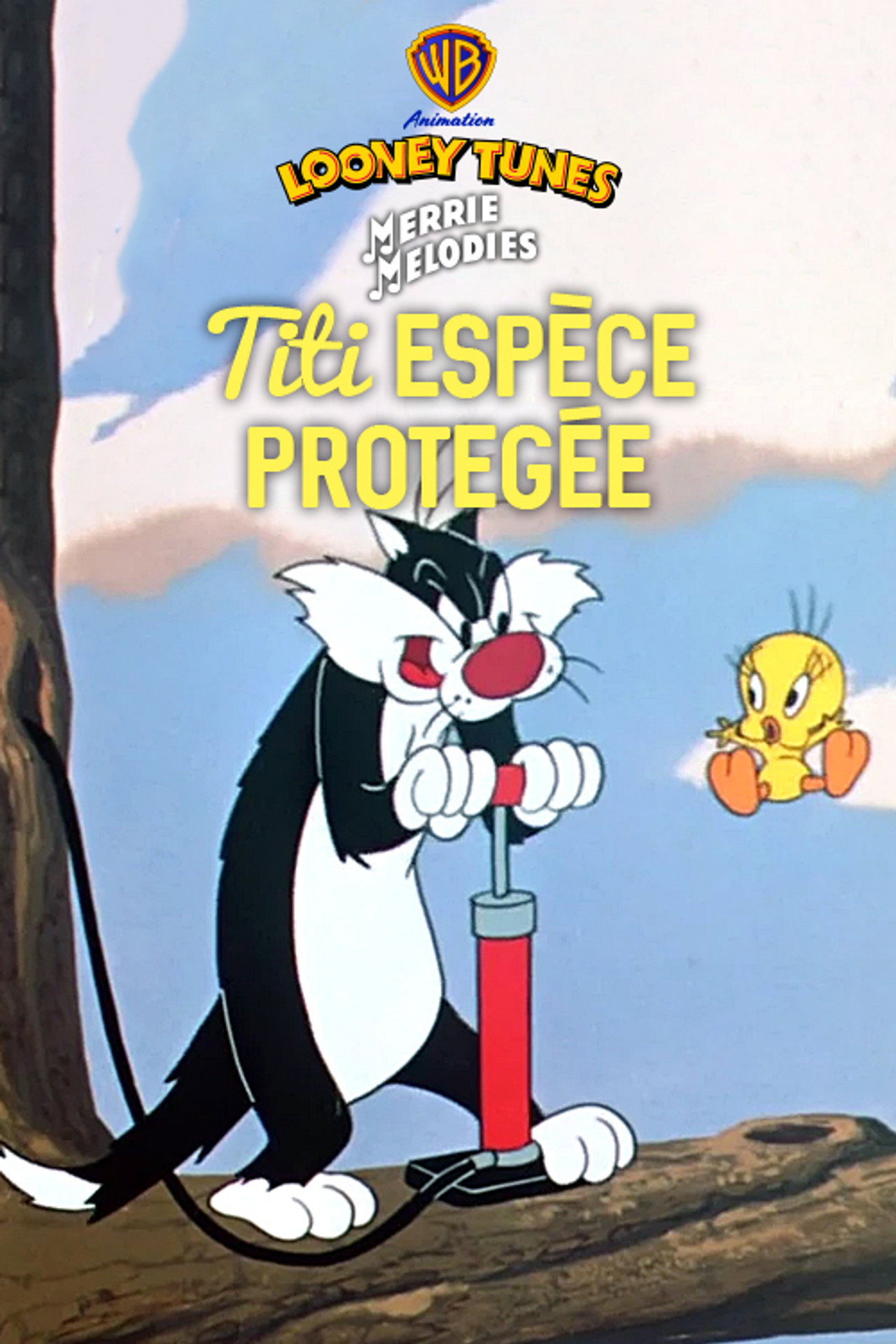 Titi, espèce protégée
