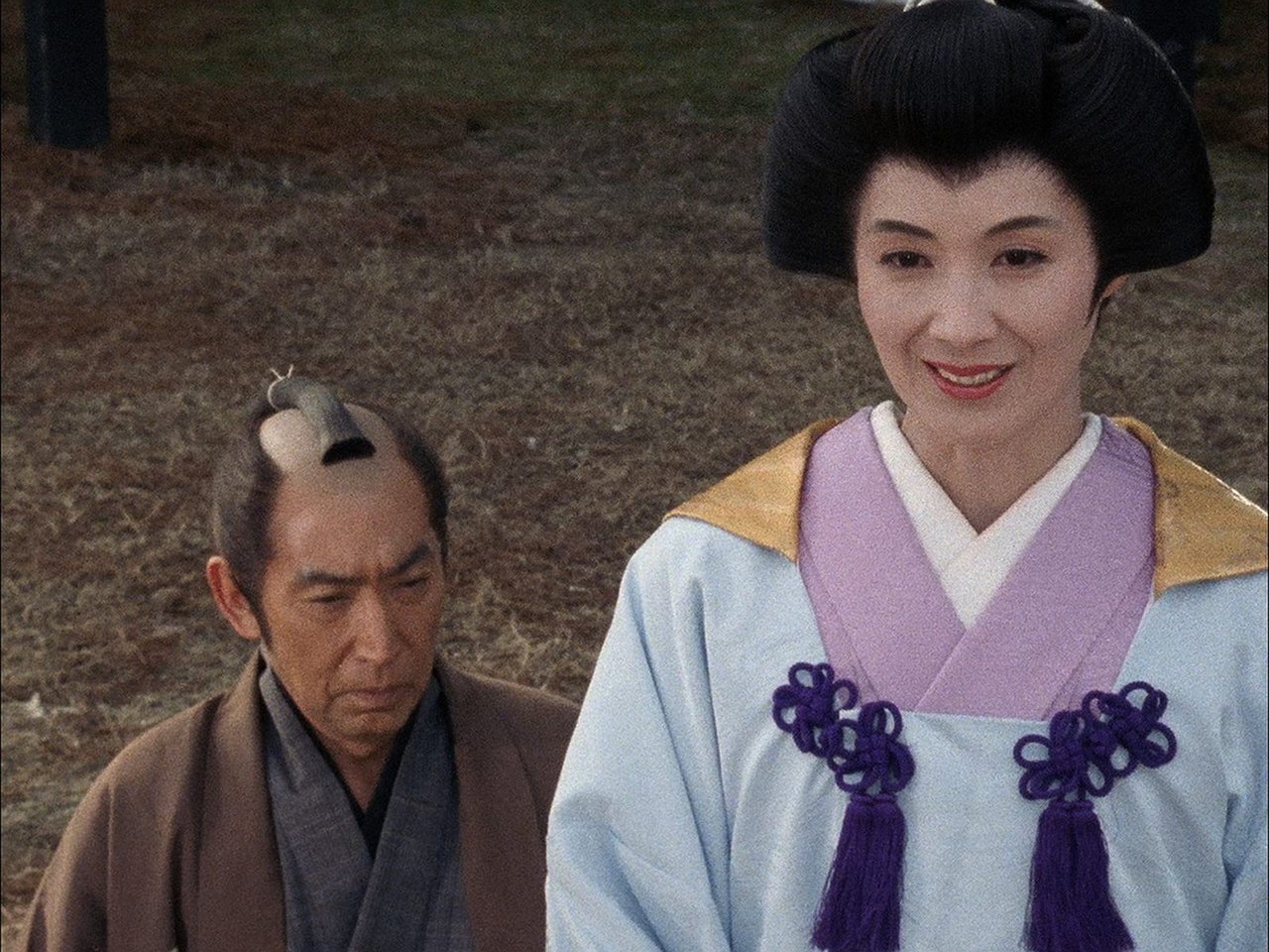 Hissatsu Shigotonin - Season 9 Episode 21 : Episode 21