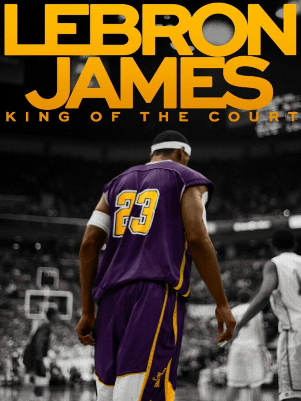 LeBron James: King of the Court Backdrop