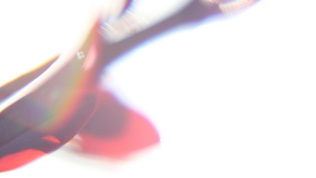 Algunos seres singulares