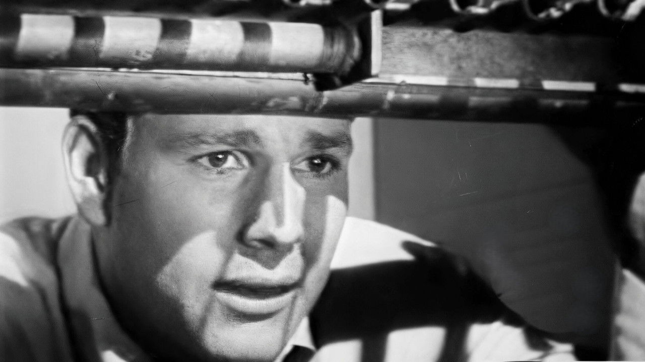 Peyton Place — Épisode 10