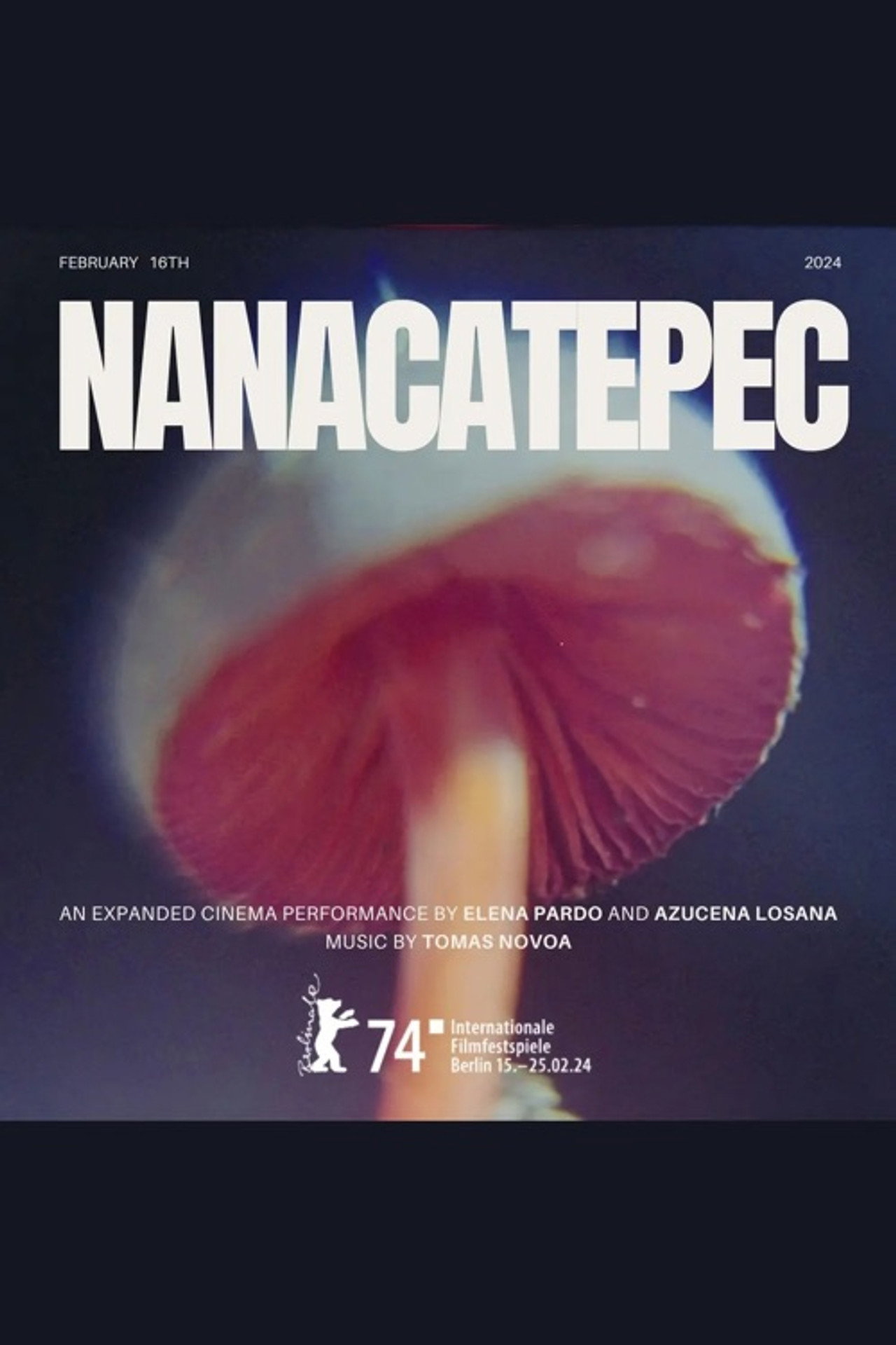 Nanacatepec filmaffisch