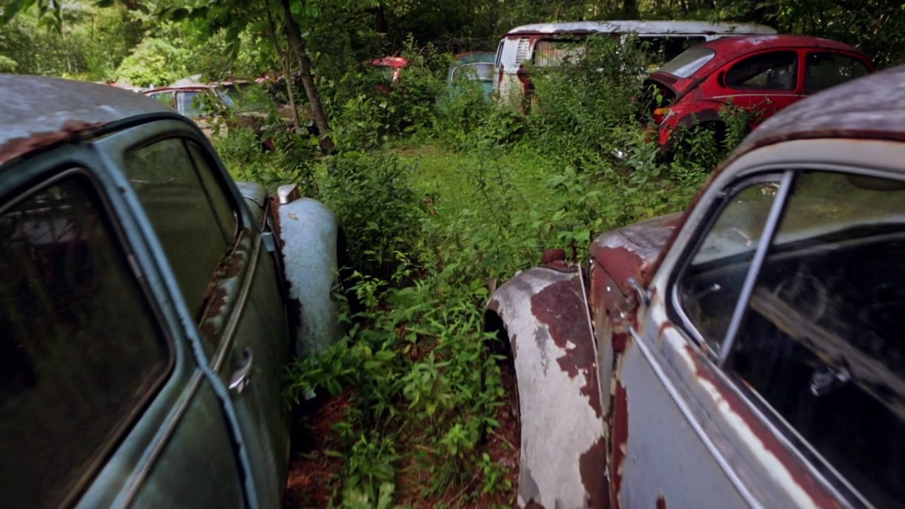 The Bug: Life and Times of the People's Car background