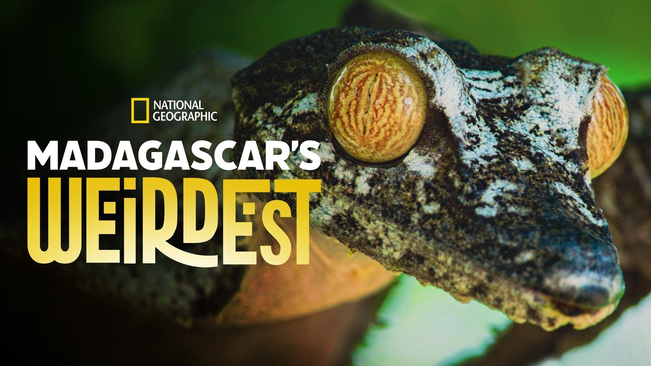 Madagascar's Weirdest background