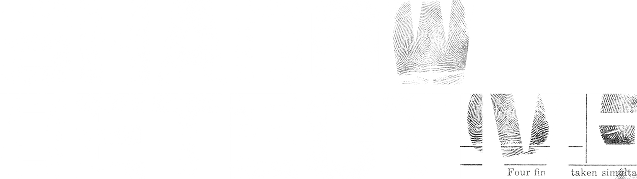 Теневой детектив