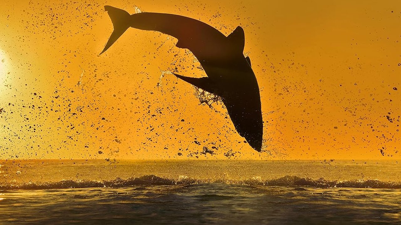 Air Jaws: 2020 background