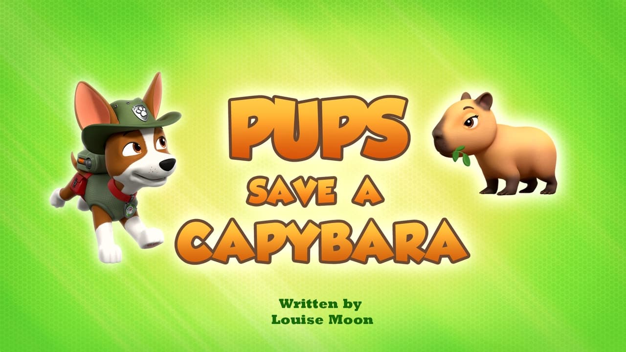 PAW Patrol - Season 10 Episode 43 : Pups Save a Capybara