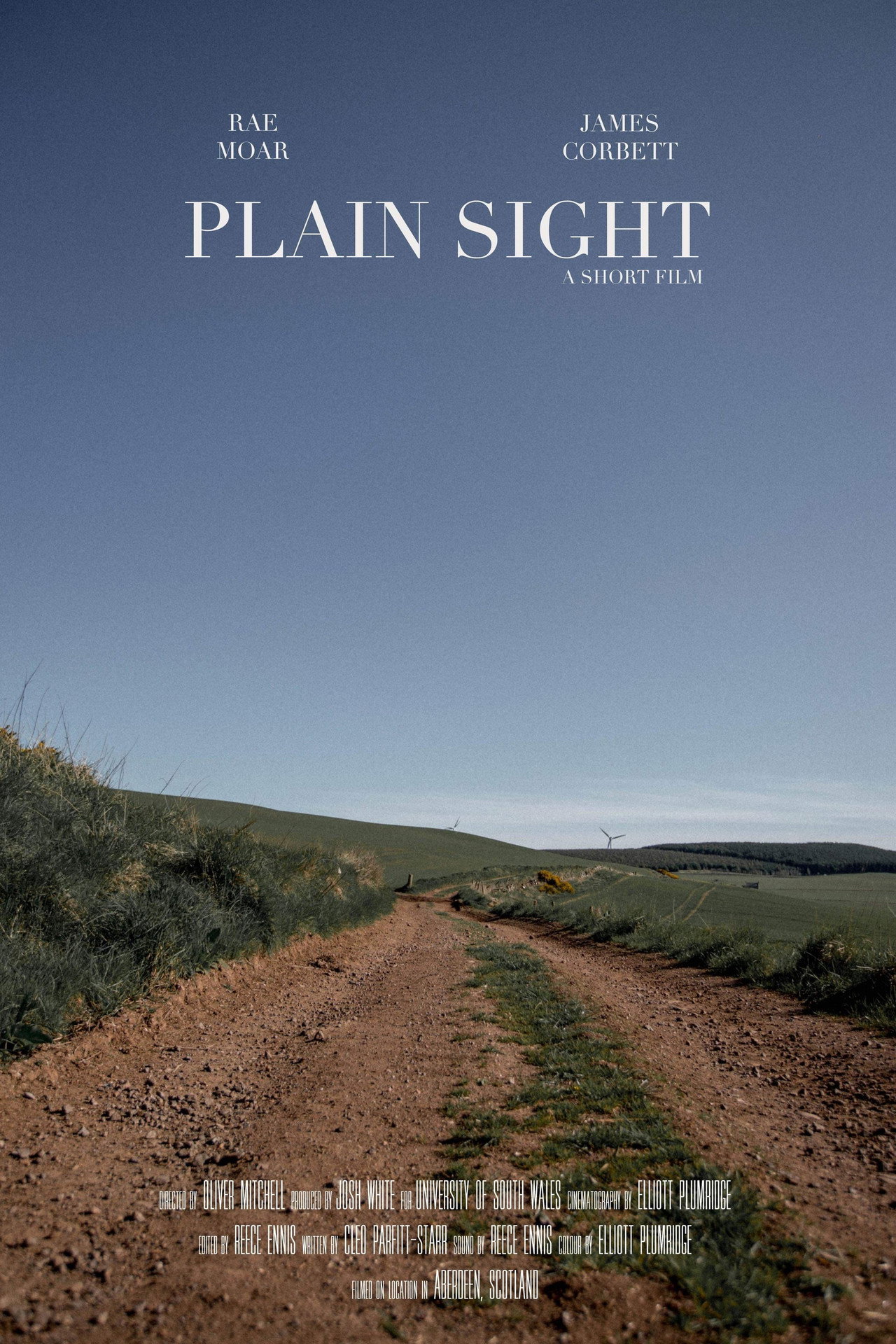 Plain Sight filmaffisch
