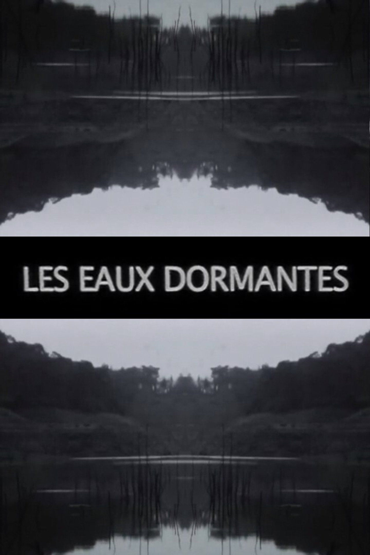 Les Eaux dormantes