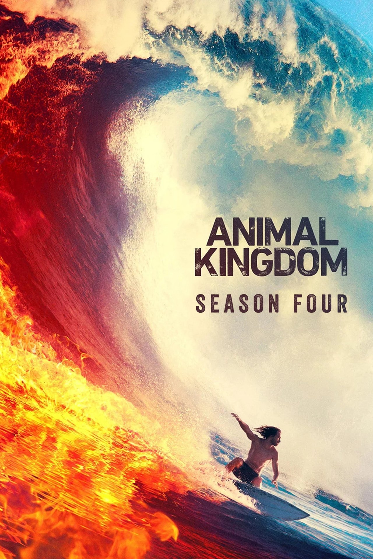 Animal Kingdom (2019)