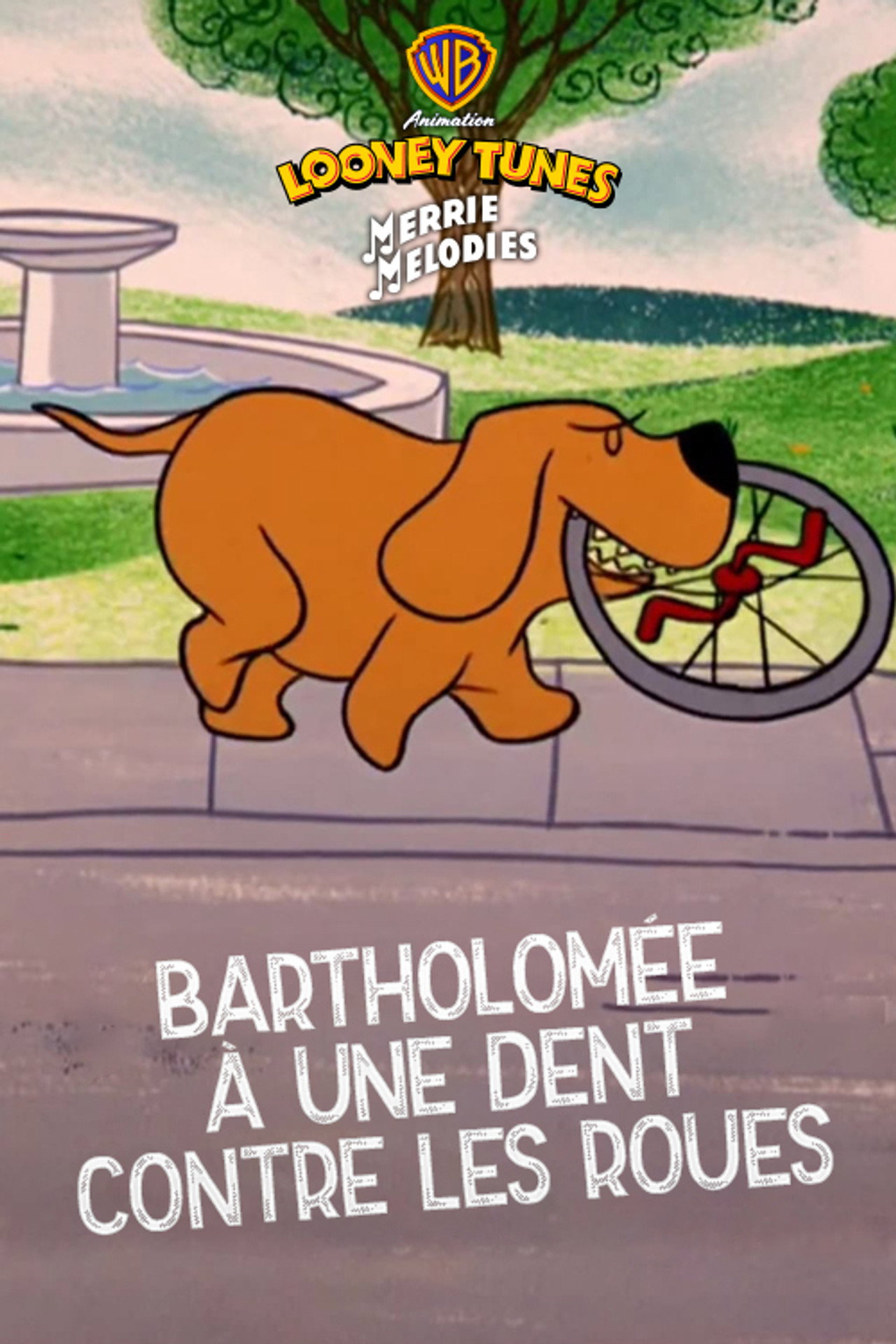 Bartolomé à une dent contre les roues